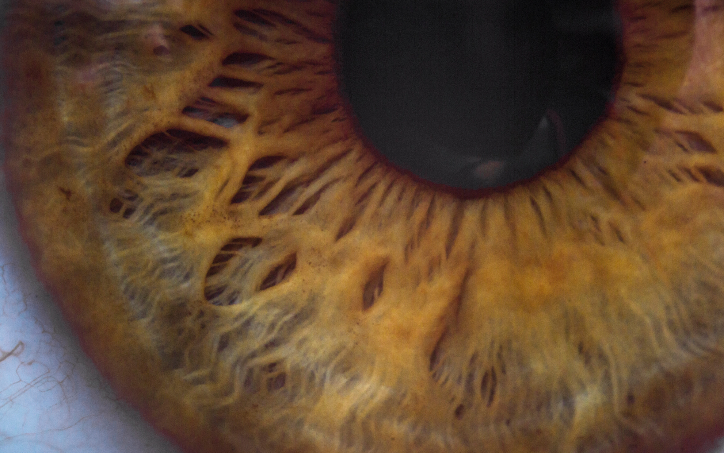 De gemeente Oss gebruikte data uit de GZS voor beleidsvraagstukken